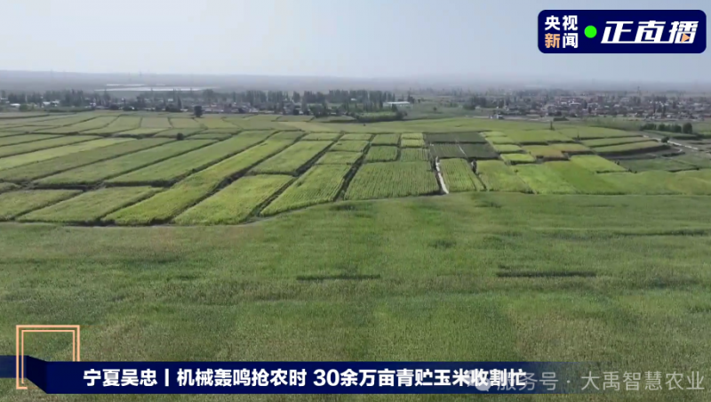 【媒体聚焦】jxf体育节水以智慧农业技术，，，，，，为 30 万亩青贮玉米丰登 “添动力”